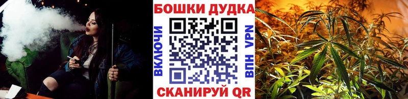 Каннабис SATIVA & INDICA Любань